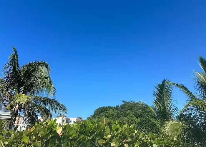 Seashell 6 - Seasonal Rental