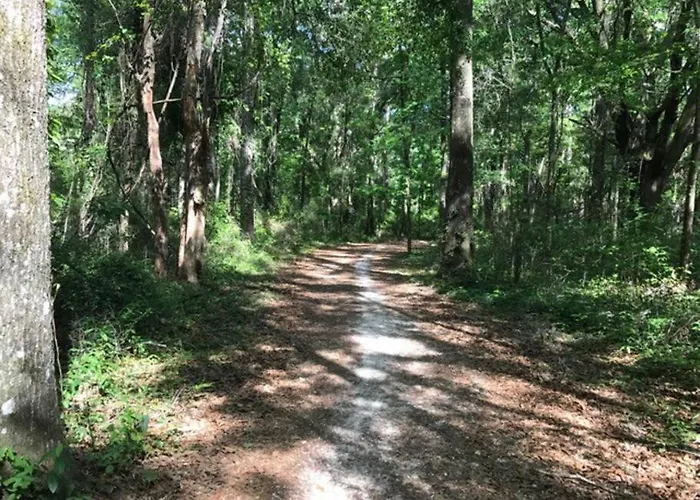 Town & Country Hideaway - 1Br/1Ba, 20 Min Famu/Fsu