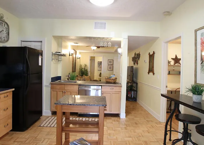 2 Bedroom Apt Overlooking Dunedin Town Square No Kids, No Pets