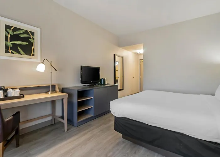 Country Inn & Suites By Radisson, Tampa Airport North, Fl