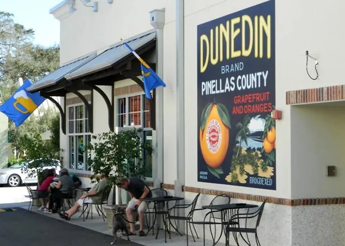 In The Heart Of Downtown Dunedin One Bedroom Apt No Kids, No Pets