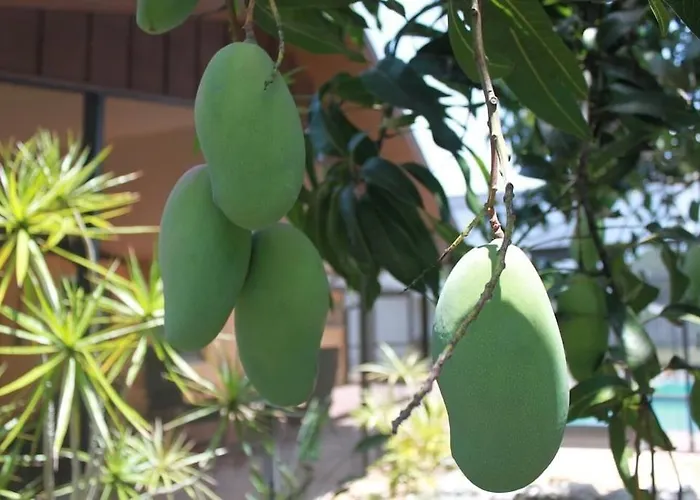 Bonita Mango House