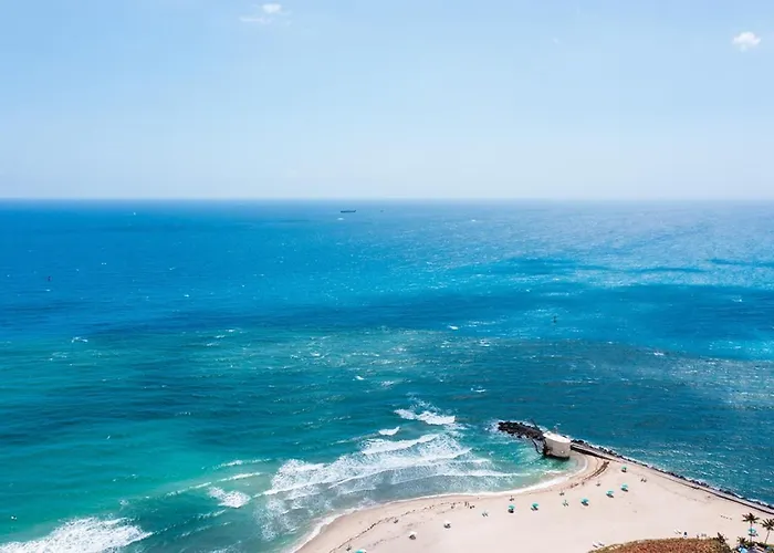 New! Few Minutes To Downtown, 10 To The Beach!
