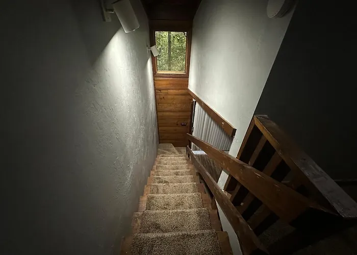 Convenient, Cozy, Cheap, Comfortable
