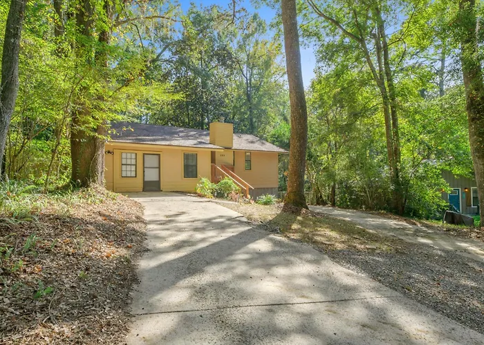 Charming 4Bd With Bbq & Backyard - Near Fsu, A&M