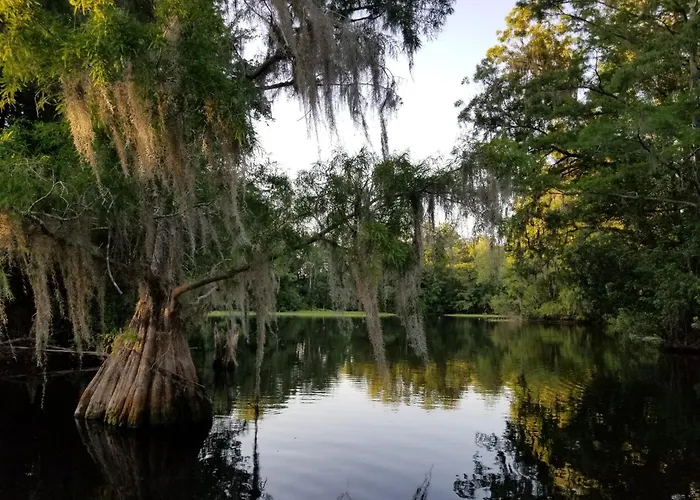Wise Owl Retreat On The River