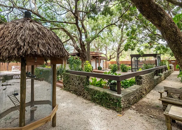 Quiet Zen Tiny House In Japanese Garden