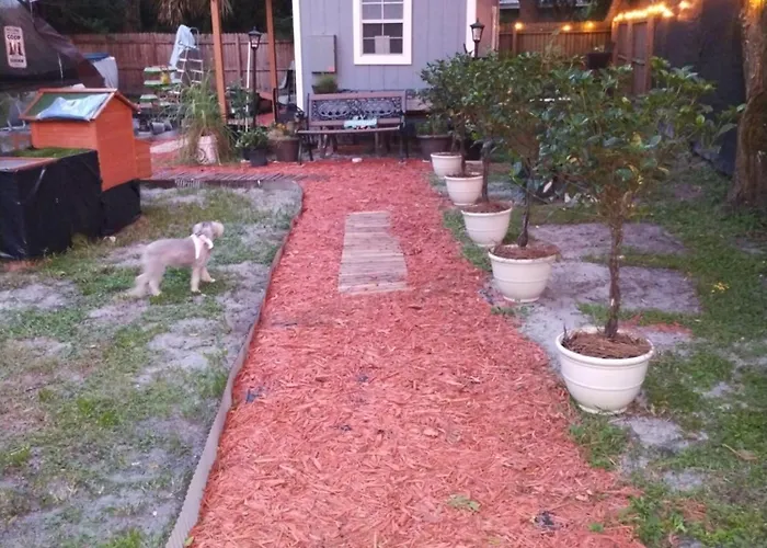 Ranch Style Tiny Home In Backyard With Animals Near Downtown Orlando