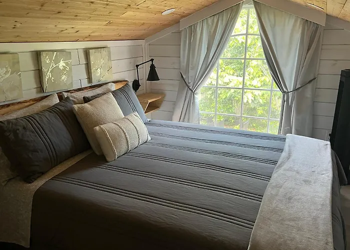 Tiny Farm Retreat Near Miami, Nature And Animal Experience