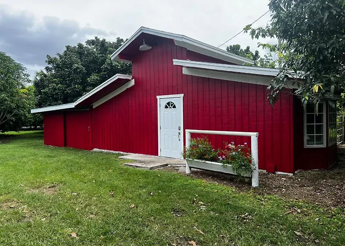Tiny Farm Retreat Near Miami, Nature And Animal Experience