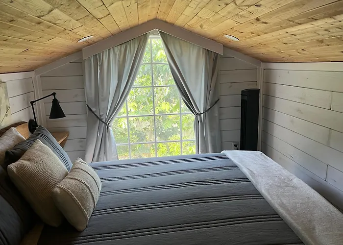 Tiny Farm Retreat Near Miami, Nature And Animal Experience