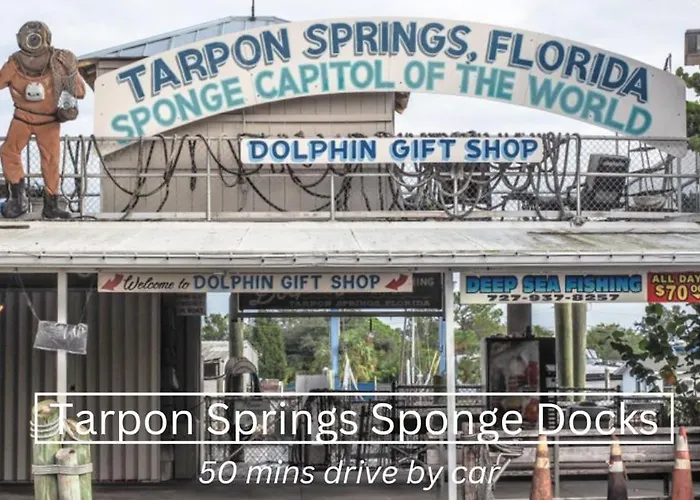 New Steps To Downtown - 7 Mins To Beach & Free Parking