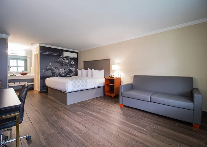 Equus Inn I75