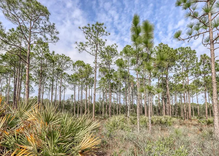 Village Of South Walton Eb211