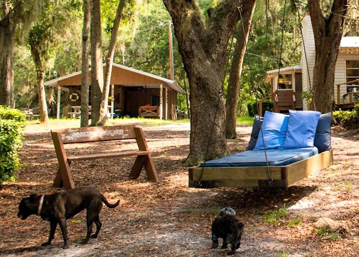 Spacious Cabin For A Group Getaway Overlooking Junior Lake In Florida
