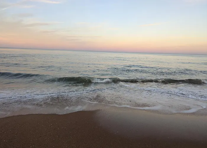 Beautiful Ormond Beachfront House!