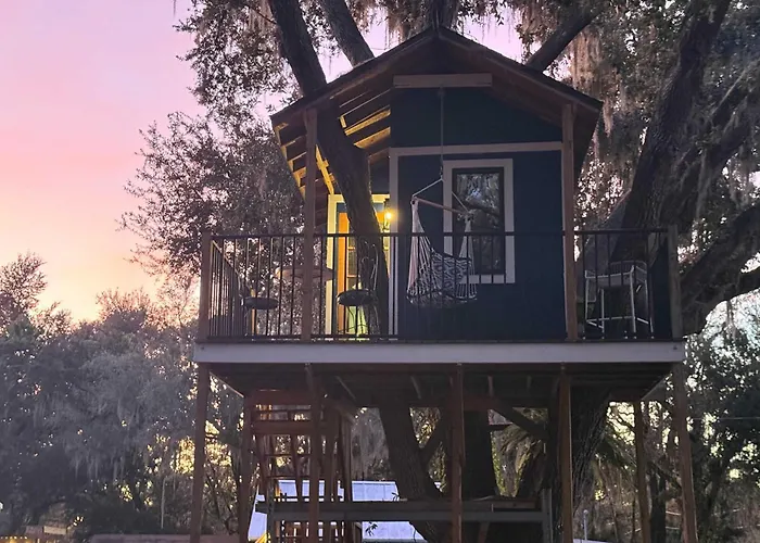 Farmhouse Oasis W Pool Heated Spa Treehouse And Game Room Located Centrally Off I-4