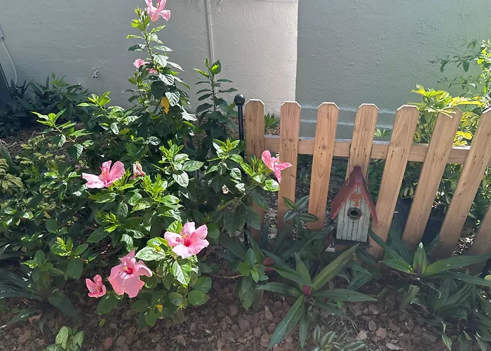 Serenity Gardens Private Guest Suite In Historic Lutz