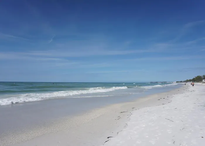 Anna Maria Island Tree House Pet Friendly!
