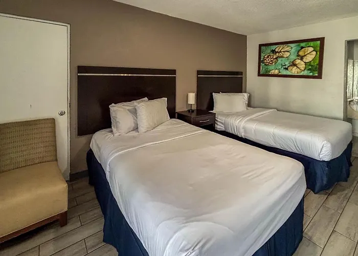 Motel 6 Altamonte Springs Fl