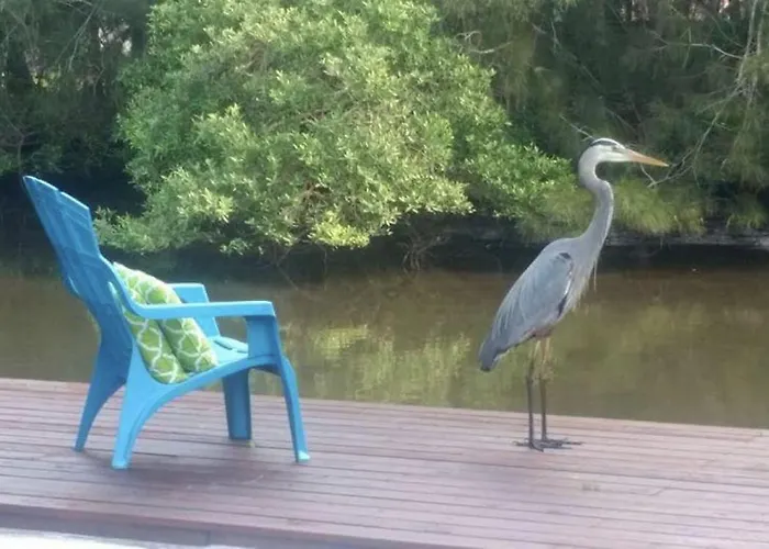 Northern Point Of Treasure Island, New Port Richey