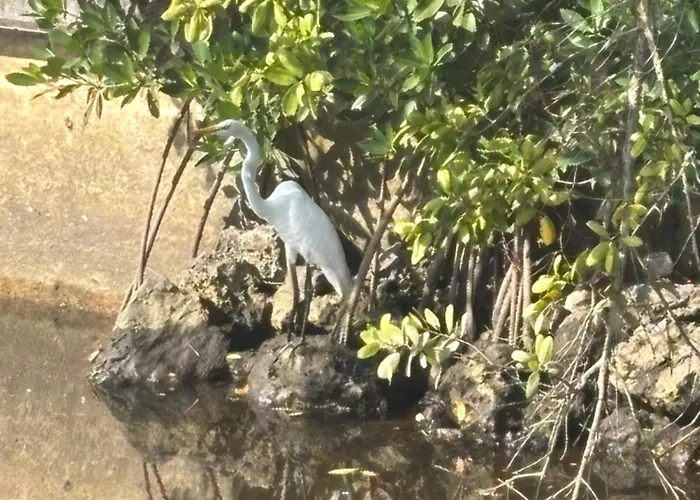 Cardinal Vacations