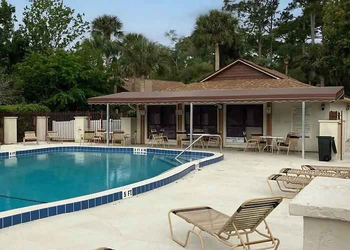 Port Orange Palm Tree Reverie
