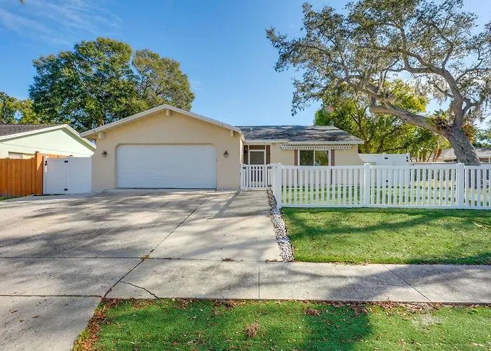 Pool & Patio Access: Breezy Getaway In Palm Harbor