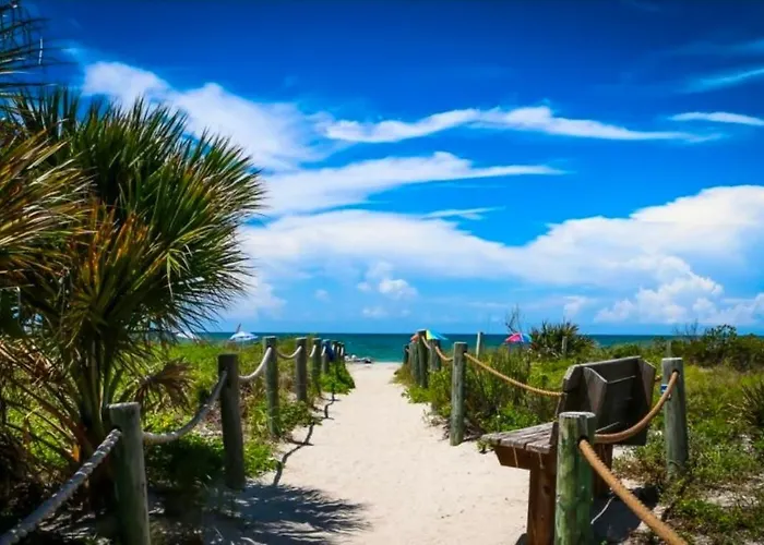 Blue Paradise