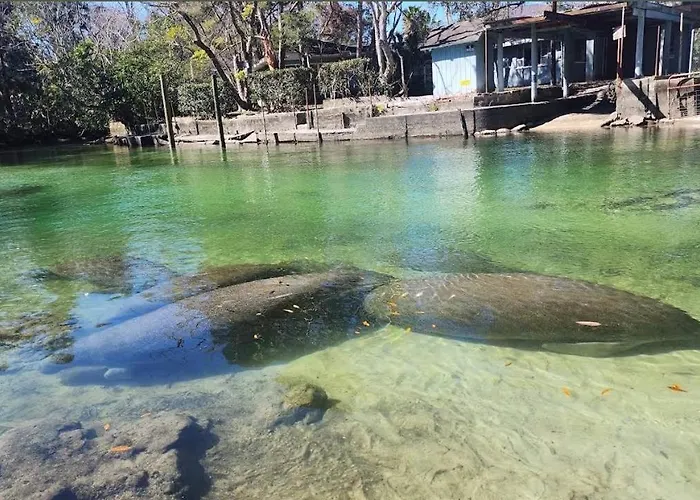 Weeki Wachee River Clear Kayak Waterfront