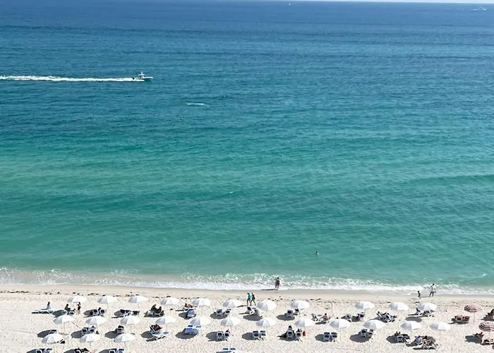 Monte Carlo By Miami Ambassadors