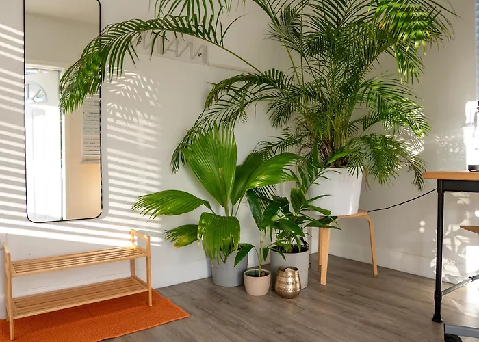 Casa Mia Central Location, Free Parking, Fully Equipped