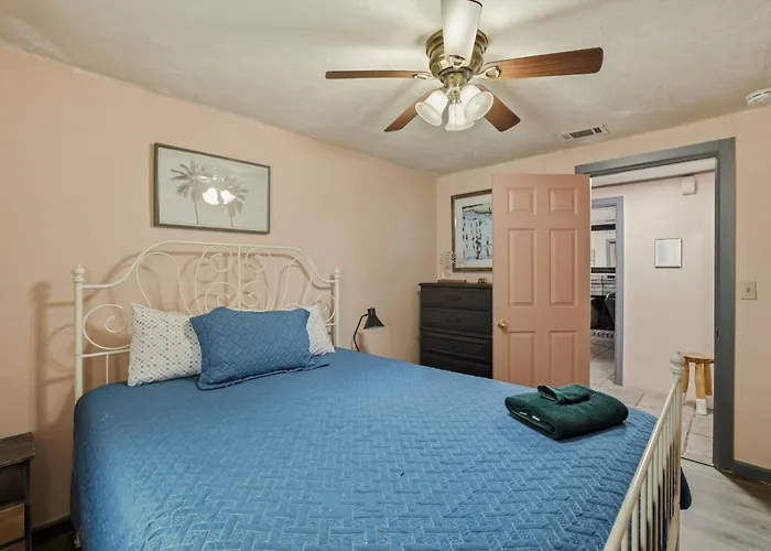 Bright 3Br, Dogs, Fenced Yard, Fsu & Dwntown