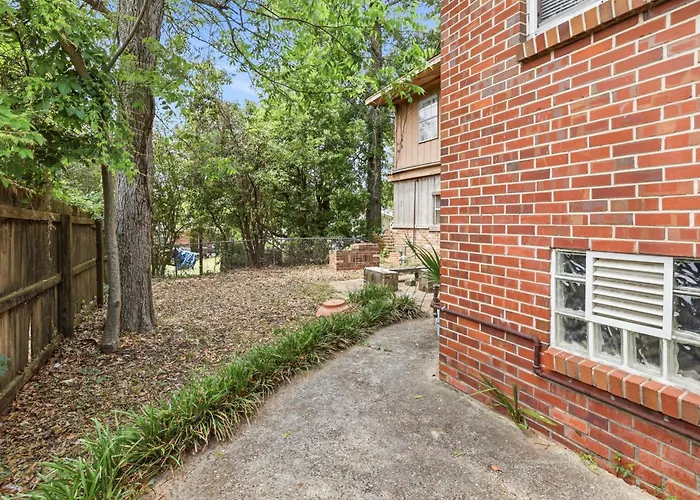 Bright 3Br, Dogs, Fenced Yard, Fsu & Dwntown
