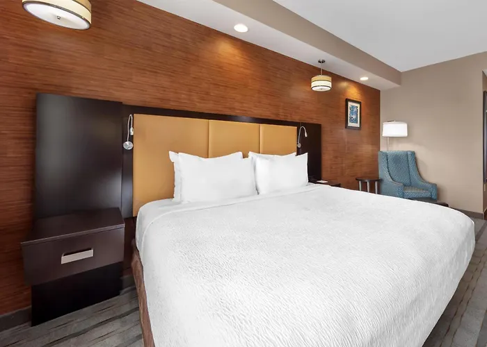 Best Western Plus Miami Executive Airport Hotel And Suites