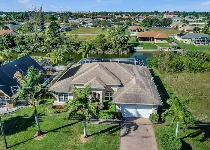 Peaceful Palms