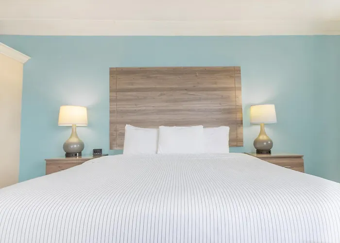 Amelia Hotel At The Beach