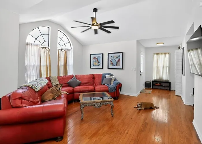 Palm Harbor Entire Duplex Sleeps 16 Near Beaches