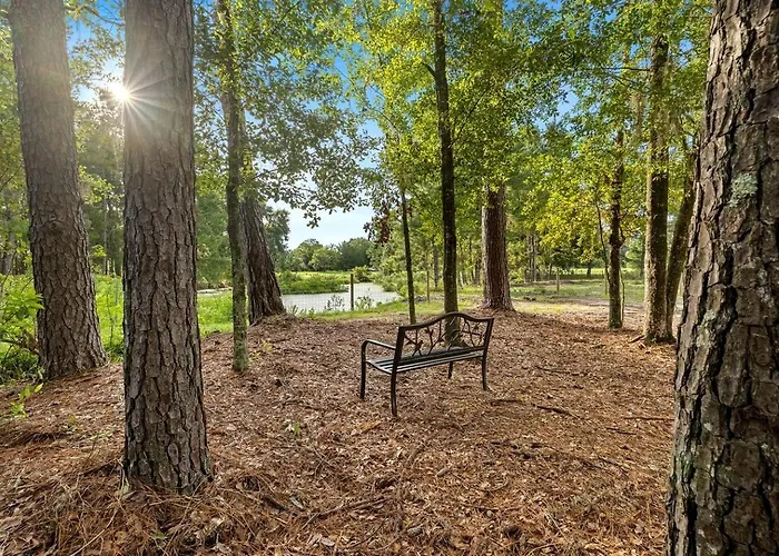 Entire Farm Retreat With Three Modern Cabins In Lake City, Florida, Perfect For An Event Or Large Family Getaway