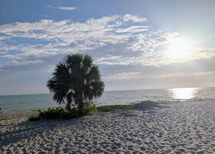 Beautiful, Accessible Venice Home Near The Beach And Historic Venice Downtown
