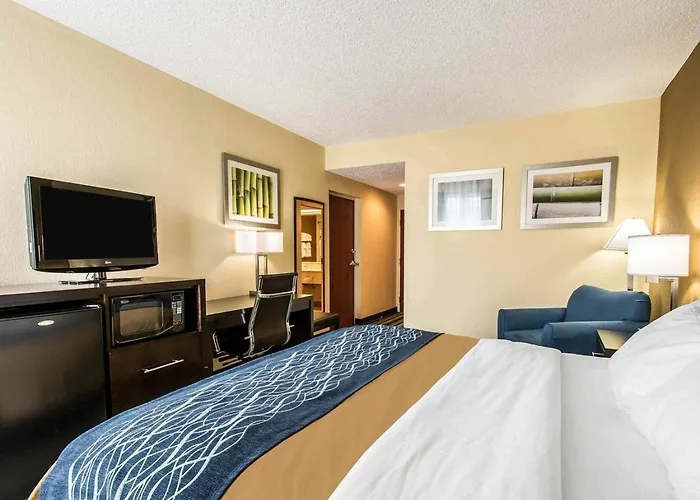 Comfort Inn & Suites Lantana - West Palm Beach South