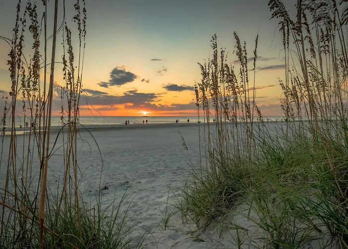 Summer Place 671