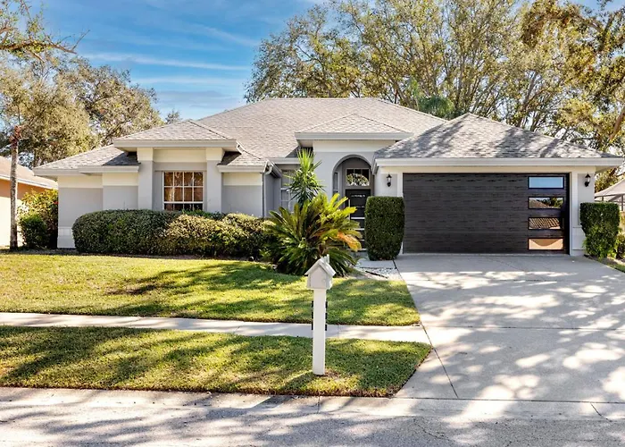 Palm Harbor Paradise - Spacious Home In Quiet Neighborhood With Heated Pool, Billiard Room, Hot Tub