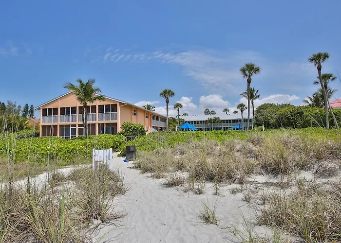 Vitamin Sea November And December Availability!