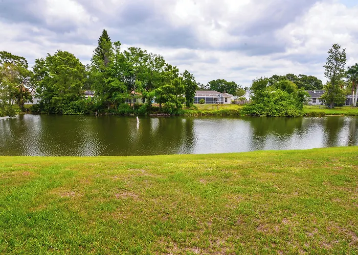 Lanai & Pond At Tranquil Bradenton Retreat!