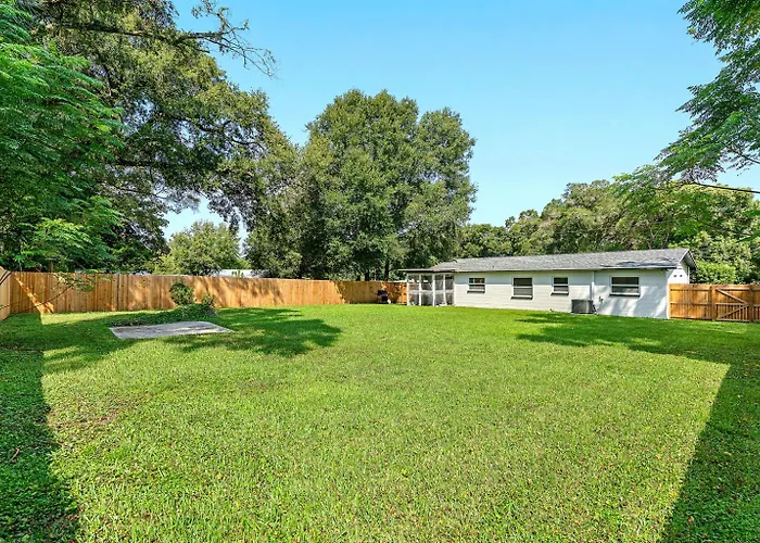 Renovated 3Br, Fenced Yard, Brandon Sleeps 8, 20 Min To Tampa, Monthly Ok