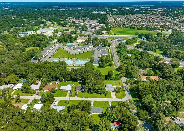 Renovated 3Br, Fenced Yard, Brandon Sleeps 8, 20 Min To Tampa, Monthly Ok