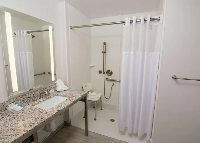 Hilton Garden Inn Tampa Suncoast Parkway