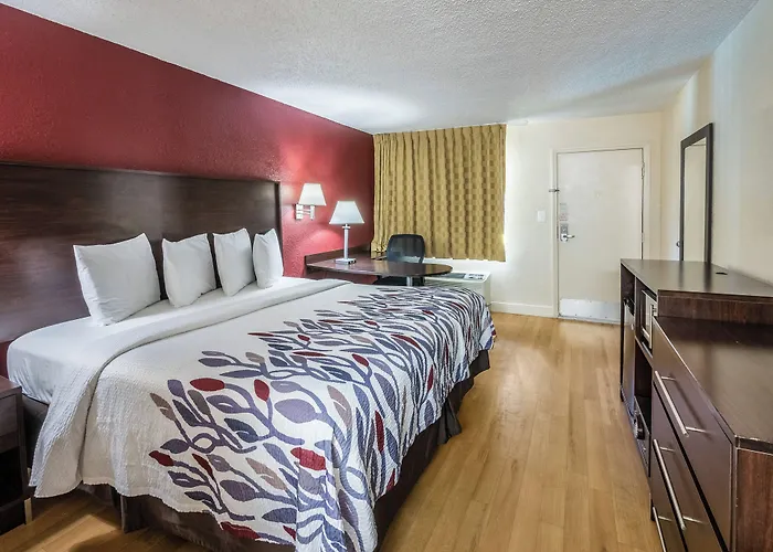 Red Roof Inn Orlando South - Florida Mall