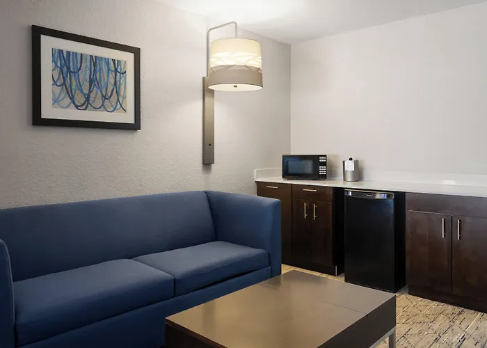 Holiday Inn Express & Suites St. Petersburg North